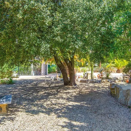 Jacqueline By * Montgo